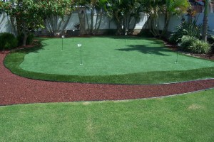 5 hole Putting Green