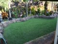 yard2 copy 2.jpg