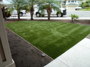 Kailua Kona Pet Turf