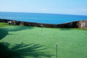 Makai View