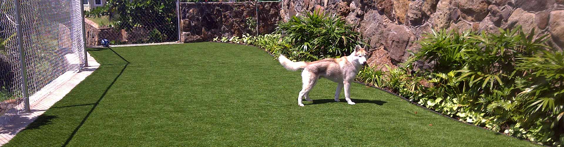 Fake grass dog run installation in Hawaii